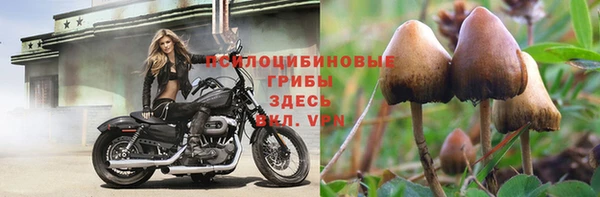 дурь Алзамай