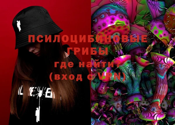 дурь Алзамай