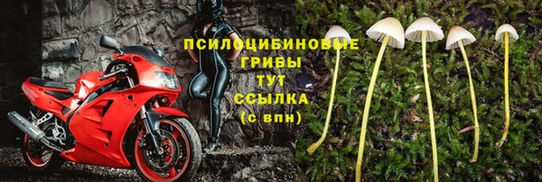 МДПВ Алексеевка