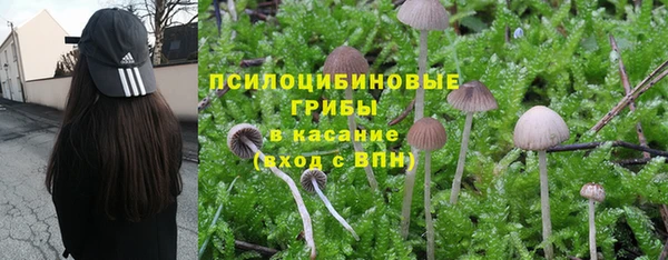 МДПВ Алексеевка