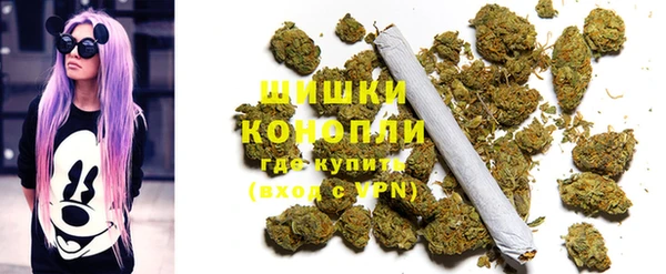 дурь Алзамай